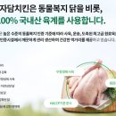 하마치킨 이미지