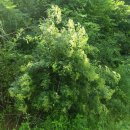 내곡농장 이미지