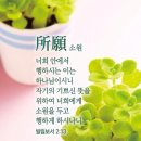 펌글 / 필리핀인의 약속 관습 이미지