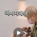 꼼꼼하개 - 양산시 버들길 12 | 꼼꼼하개