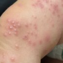 빅스짐 여성전용 상남점 이미지