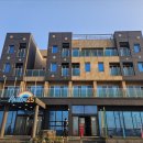 바다 어울림 | 제주게스트하우스 어울림25, 바다와 파티를 한 번에 즐긴 후기!