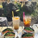 송당일상 | [제주] 제주도 동쪽 송당 구좌 반려동물 동반 가능한 핫플 샌드위치 맛집 추천 -라마네 의식주