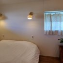 제주라일락 이미지