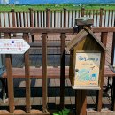 마고실쉼터(두꺼비다리) 이미지