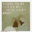 놀아줘PC 이미지