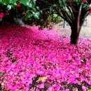 남원읍-14 이미지