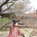 살빼야