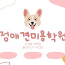 진애견 이미지