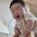 바른프로헤어