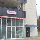 전주애견유치원 몽카롱 이미지