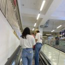(주)치즈웨이코리아 | 코스트코 10월 신상 할인.추석전 장보기 살만한것들