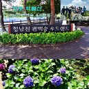 장흥사랑김밥 | 장흥 억불산 -정남진 편백숲 우드랜드- 정기산행