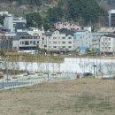 유니메디칼 네이버블로그