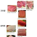 남해유통참치