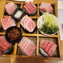 혼참치 이미지