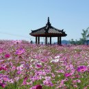 장은3리마을회관 이미지