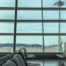 2311 | 제주항공 달랏 직항 7C2311 탑승 후기