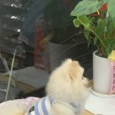 GS25 경의교차로점 이미지