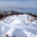 산야 이미지