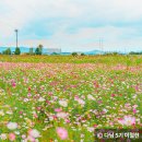 경산종합관광안내소 이미지