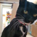 주주동물병원 이미지