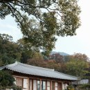 담양 달빛 스테이 이미지