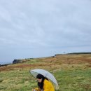 송악환승정류장 | 제주도 마라도 여객선 배시간 및 가격 (ft. 마라도 짜장면은 정말 맛있을까?)