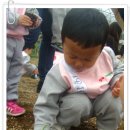 상일농장 이미지