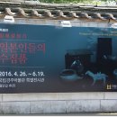 비호수산 이미지