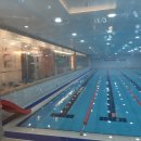 노블스위밍랩 이미지