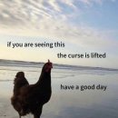 나눔동물약국 | [26교환] 프랑스 교환학생 짐싸기 ... 챙기기 잘한 것 + 가져왔으면 좋았을 것 + 괜히 가져온 것 + 와서...