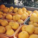 바다수산회 이미지