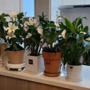 오늘도, 아름답개 이미지