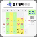 YBM강남 [포유토익 중급반 주3일]6월 수업 소수정예반후기 토익졸업하기👩🏻‍🎓