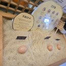 국시랑 김밥 | [국시마씸 고사리해장국, 다정이네 김밥 내돈내산 후기]제주도 1일차 휴가 기록