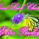 🌷Good Luck Charm 🦋Elvis Presley 이미지