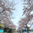 서호동-23 이미지