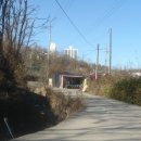 막걸리카페 이미지