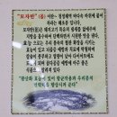모자반돼지국밥 네이버블로그