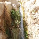 엔게디(Ein Gedi) 이미지