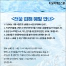 태풍태권스쿨 이미지