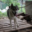 두환농장 이미지