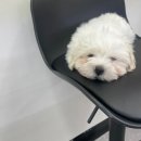 세븐일레븐 의정부용현점 이미지