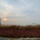 쏠리제