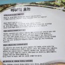 송원 이미지