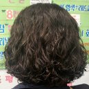태양미용실 티스토리