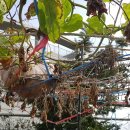 금호2-3가동 주민센터 이미지