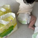 밴드기저귀 M사이즈 넘어가는 시기 엘프레리 에어필 기저귀 후기