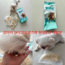츄츄애견 | 강아지 훈련용 부담없는 간식 마도로스펫 명태츄츄 대용량